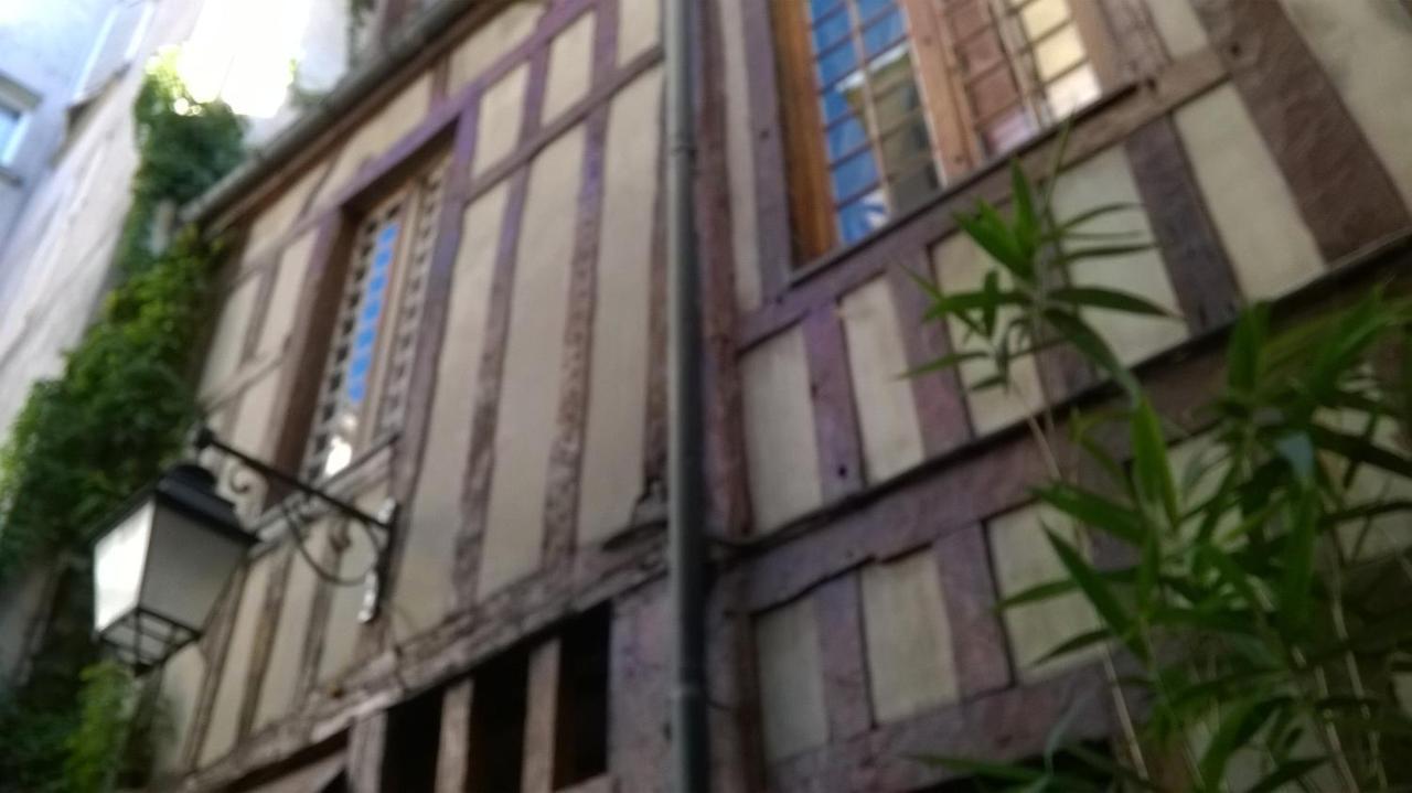 Appartement Charmant A Troyes Avec Jardin Cloture 50 M² Exterior foto